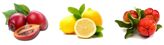 Шиповник мальгипия лимон
