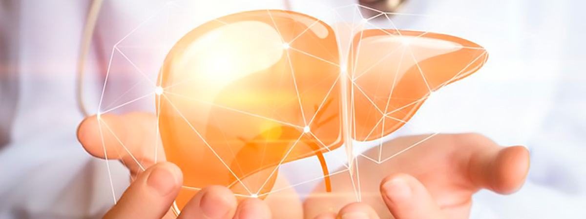 Лечение заболеваний печени, циррозы, очищение