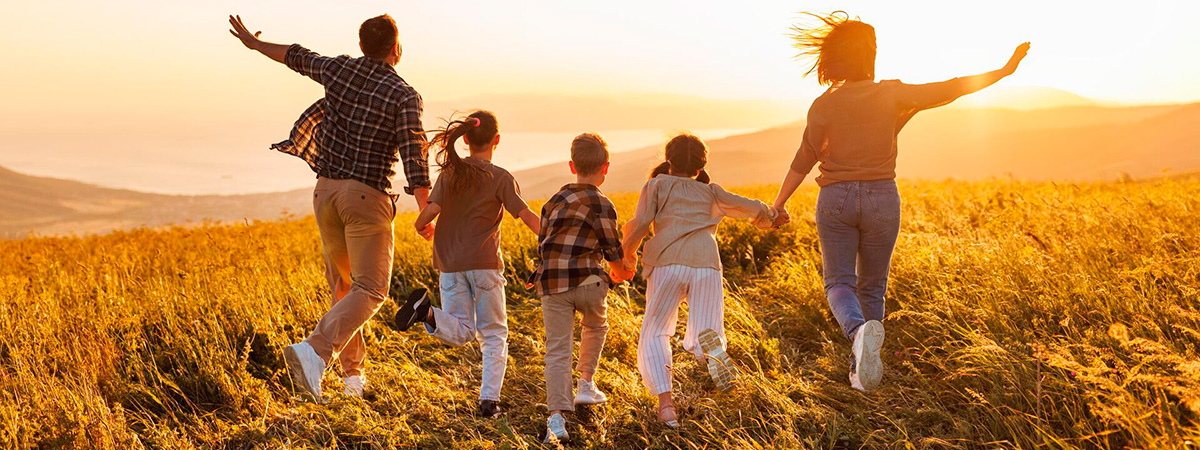 Копилка результатов семьи Ирины Алексеевой