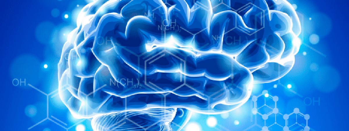 Центральная нервная система