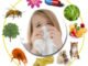 Аллергия, причины, принципы профилактики и лечения