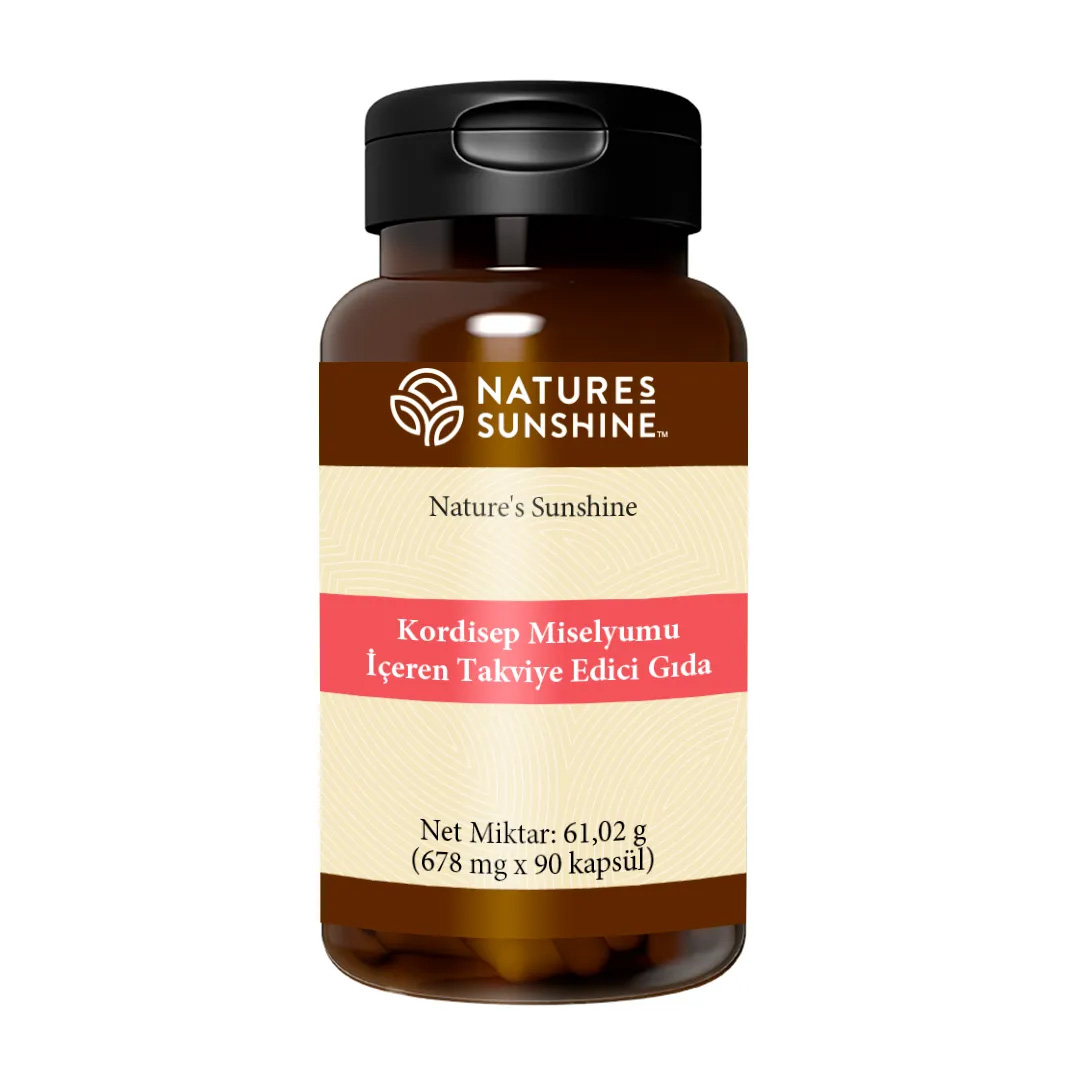 Кордицепс НСП
Cordyceps NSP