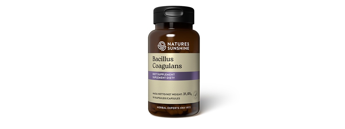 Бацилус Коагулянс Bacillus coagulans